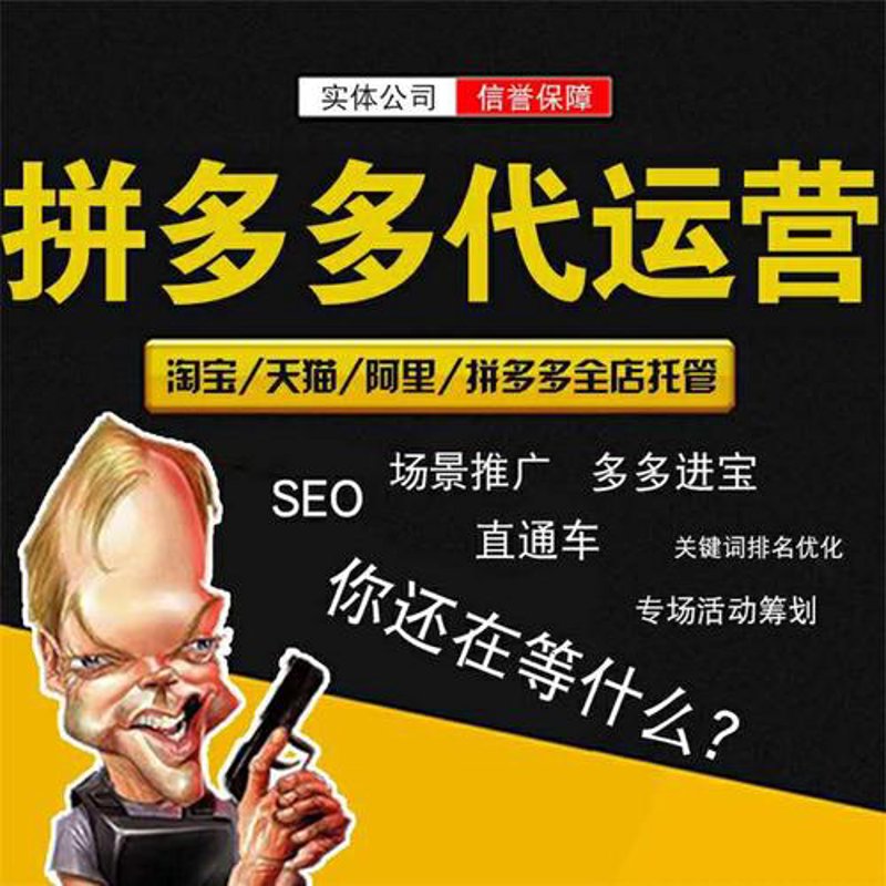 电商行业的风向标：亳州电子商务公司的崛起